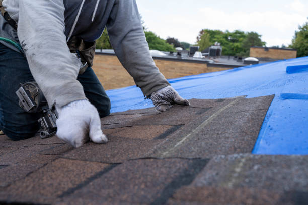 Asphalt Shingles Roofing in Montgomery, GA